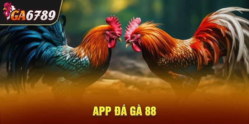 app đá gà