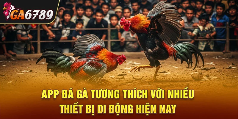 App đá gà tương thích với nhiều thiết bị di động hiện nay