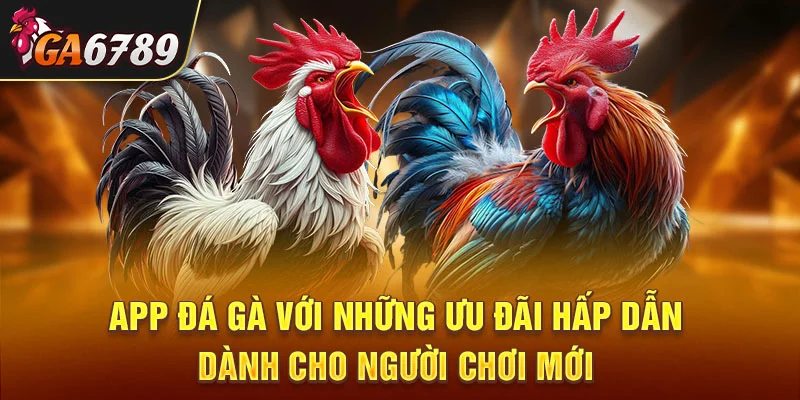 App đá gà với những ưu đãi hấp dẫn dành cho người chơi mới