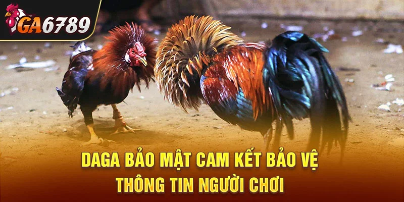 đá gà bảo mật cam kết bảo vệ thông tin người chơi