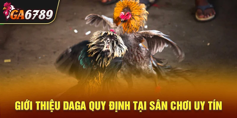 Giới thiệu DAGA quy định tại sân chơi uy tín