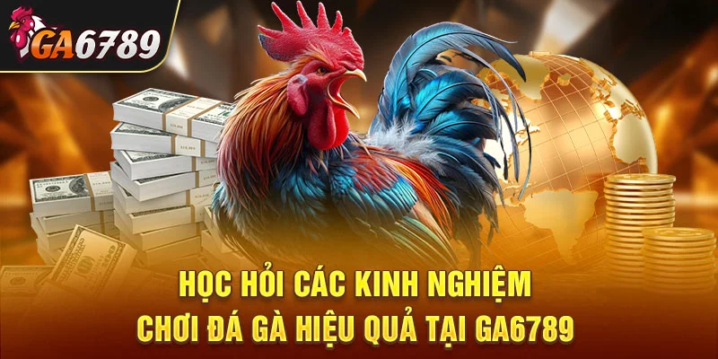 Học hỏi các kinh nghiệm chơi đá gà hiệu quả tại GA6789