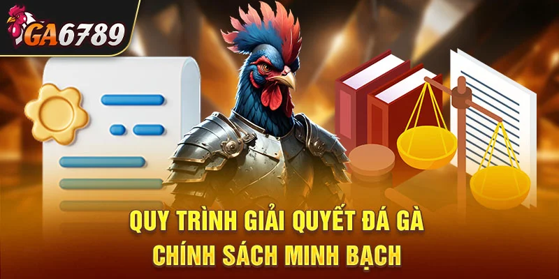 Quy trình giải quyết đá gà chính sách minh bạch