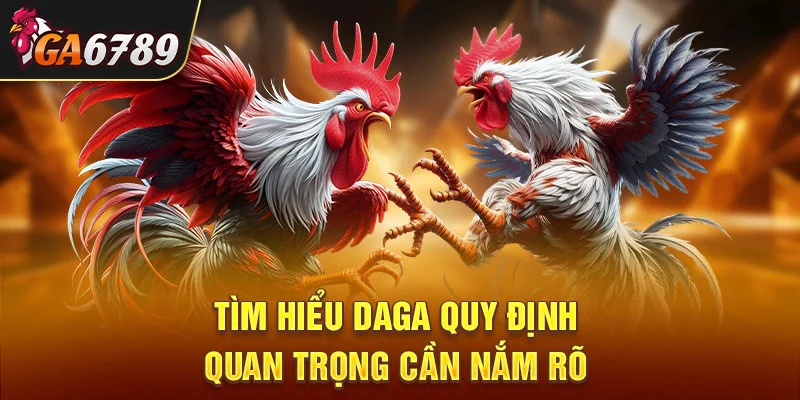 Tìm hiểu DAGA quy định quan trọng cần nắm rõ