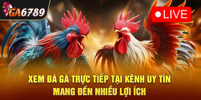 Xem đá gà trực tiếp tại kênh uy tín mang đến nhiều lợi ích
